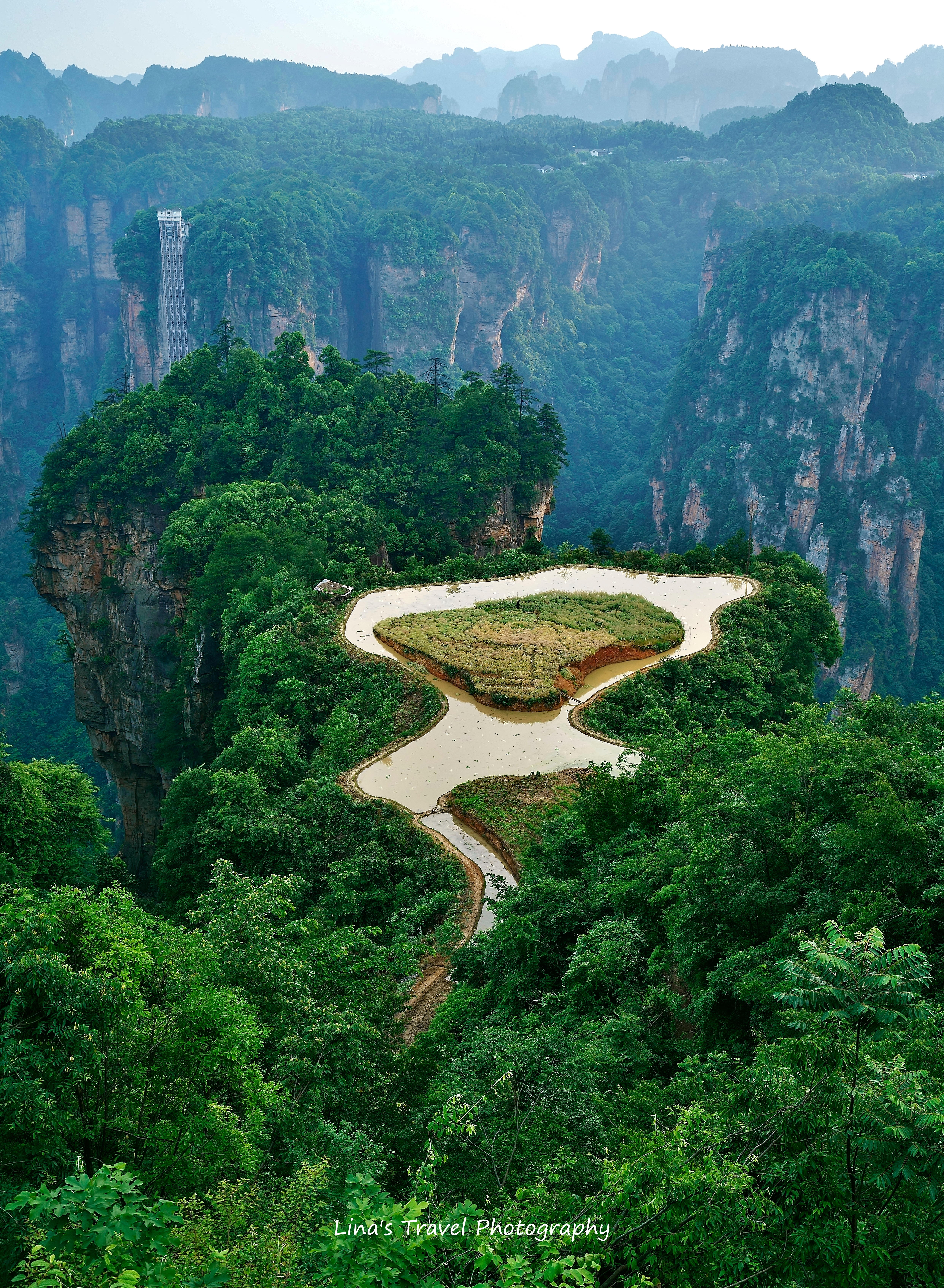 Cultivating in the Sky, Wulingyuan, Zhangjiajie National Forest Park, Zhangjiajie, Hunan, China