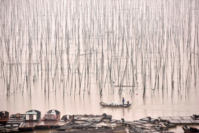 Fishing in raining, S Curve, Shajiang, Xiapu, Fujian, China