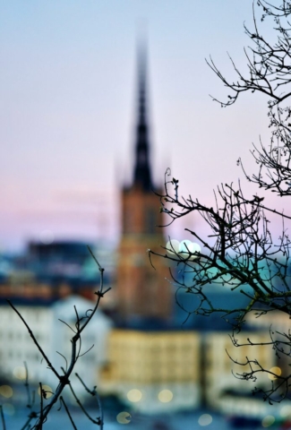 Dreaming with Church at Knight's Islet (Riddarholmskyrkan) in the background, Stockholm, Sweden