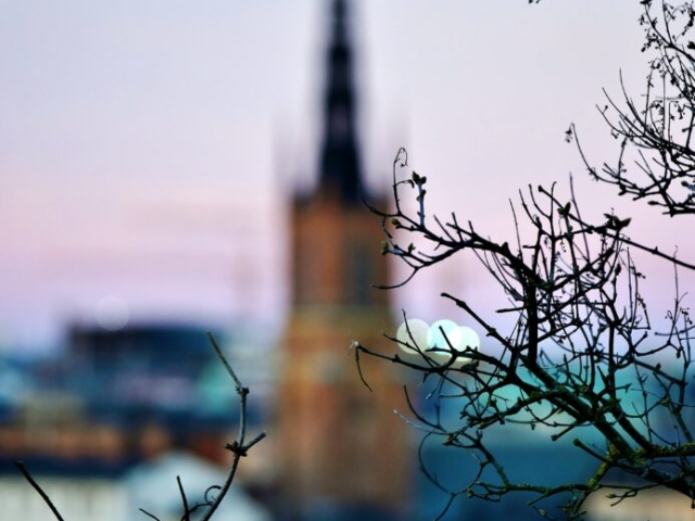 Dreaming with Riddarholmen (The Knight's Islet) in the background, Stockholm, Sweden