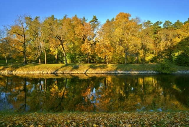 Autumn colours in reflection, Djurgårdsbrunnskanalen, Stockholm, Sweden