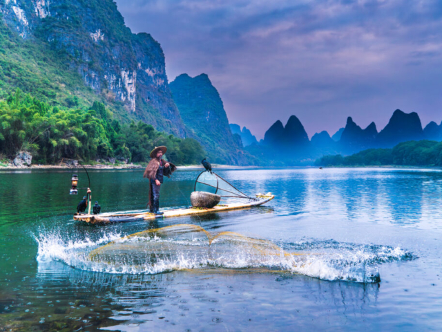 Cormorant fishing in sunrise, Yangshuo, Guangxi, China