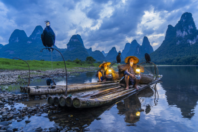 Cormorant fishing at Li River in the evening after sunset, Yangshuo, Guilin, Guangxi, China