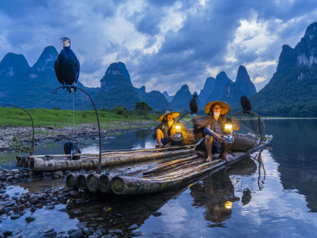 Cormorant fishing at Li River in the evening after sunset, Yangshuo, Guilin, Guangxi, China