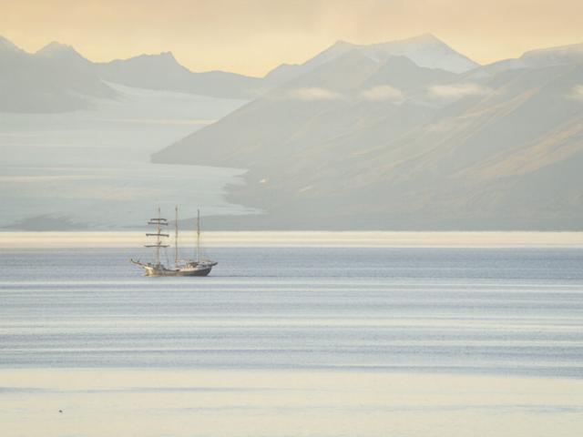 One boat and a little bird in sunset over Isfjorden, Svalbard, Norway