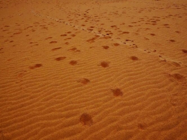 Sunset at Red Sand Dunes, Mui Ne, Phan Thiet, Binh Thuan, Vietnam