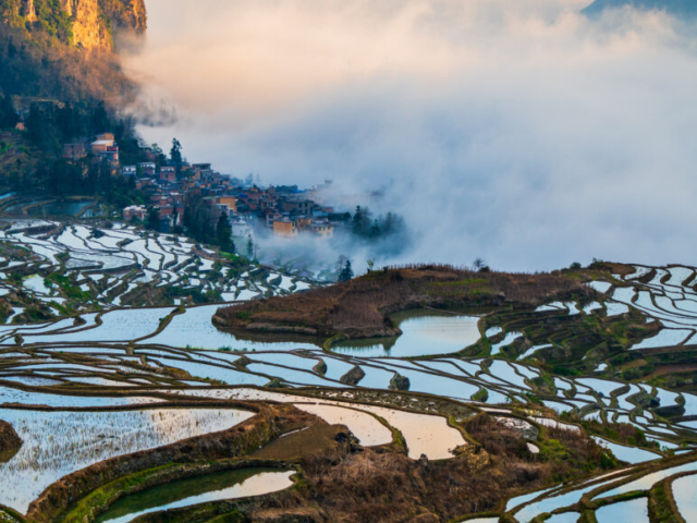 Sunrise at Duoyishu Village, Yuanyang, Yunnan, China