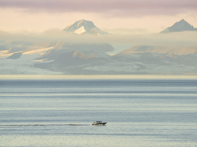 Silent landscape in sunset, and a small boat with many birds in the wake behind, Isfjorden, Bjorndalen, Grumantbyen behind Longyearbyen Airport, Svalbard, Norway