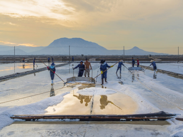Phuong Cuu Salt Field, Ninh Hai, Ninh Thuan, coastline Southeast Vietnam